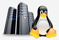 Unlimited Linux Hosting 