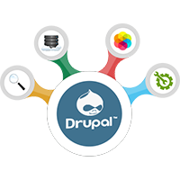 Professional Drupal Website Design